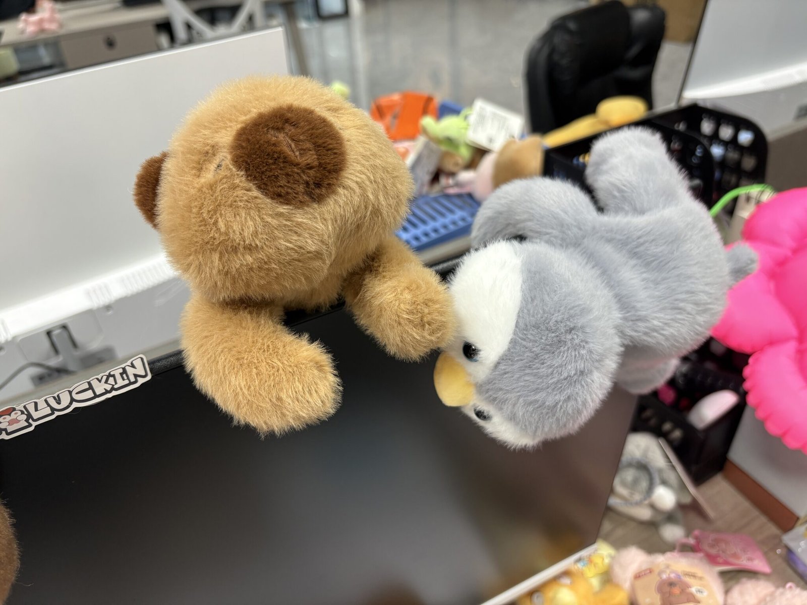 Soft plush toys designed for gentle handling