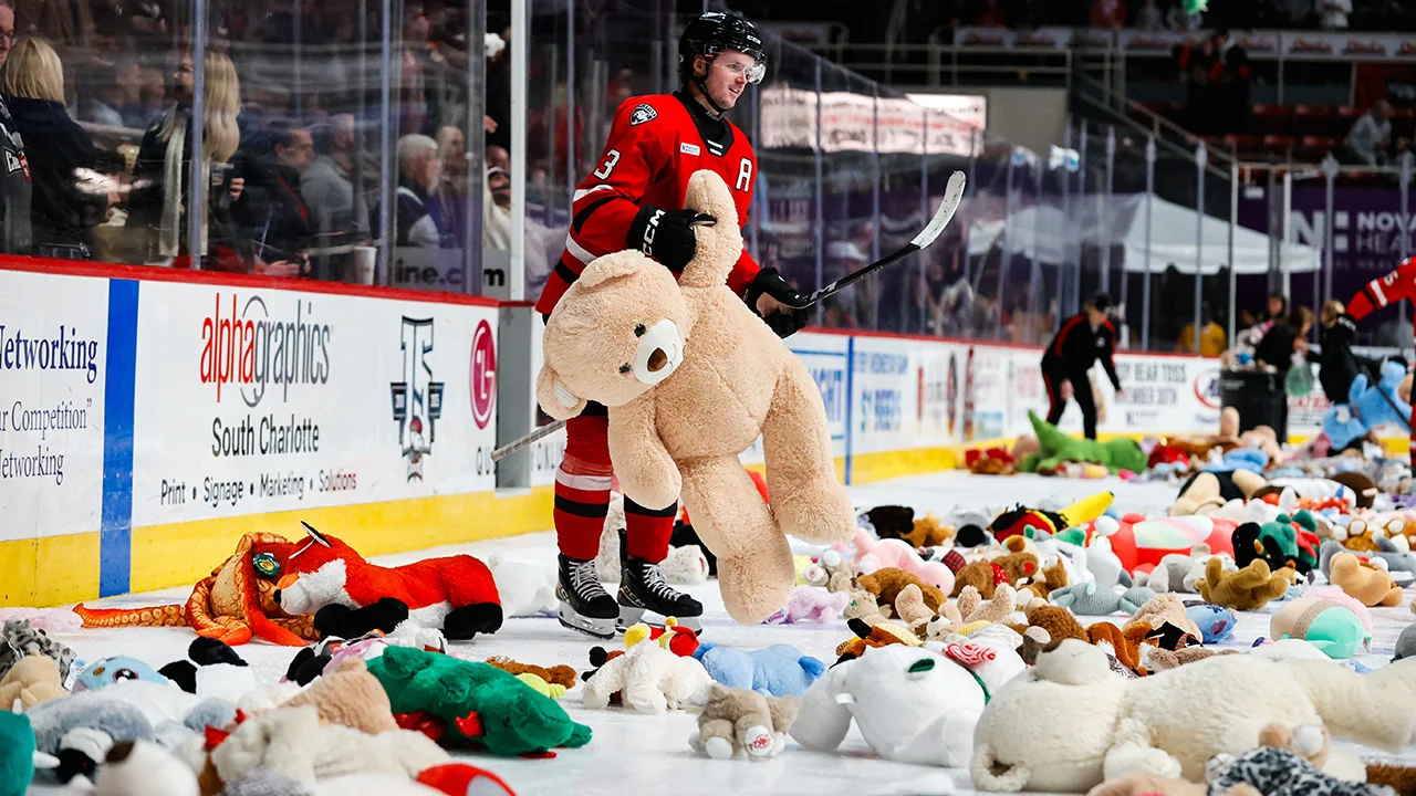 Plush Toys for Sports and Events
