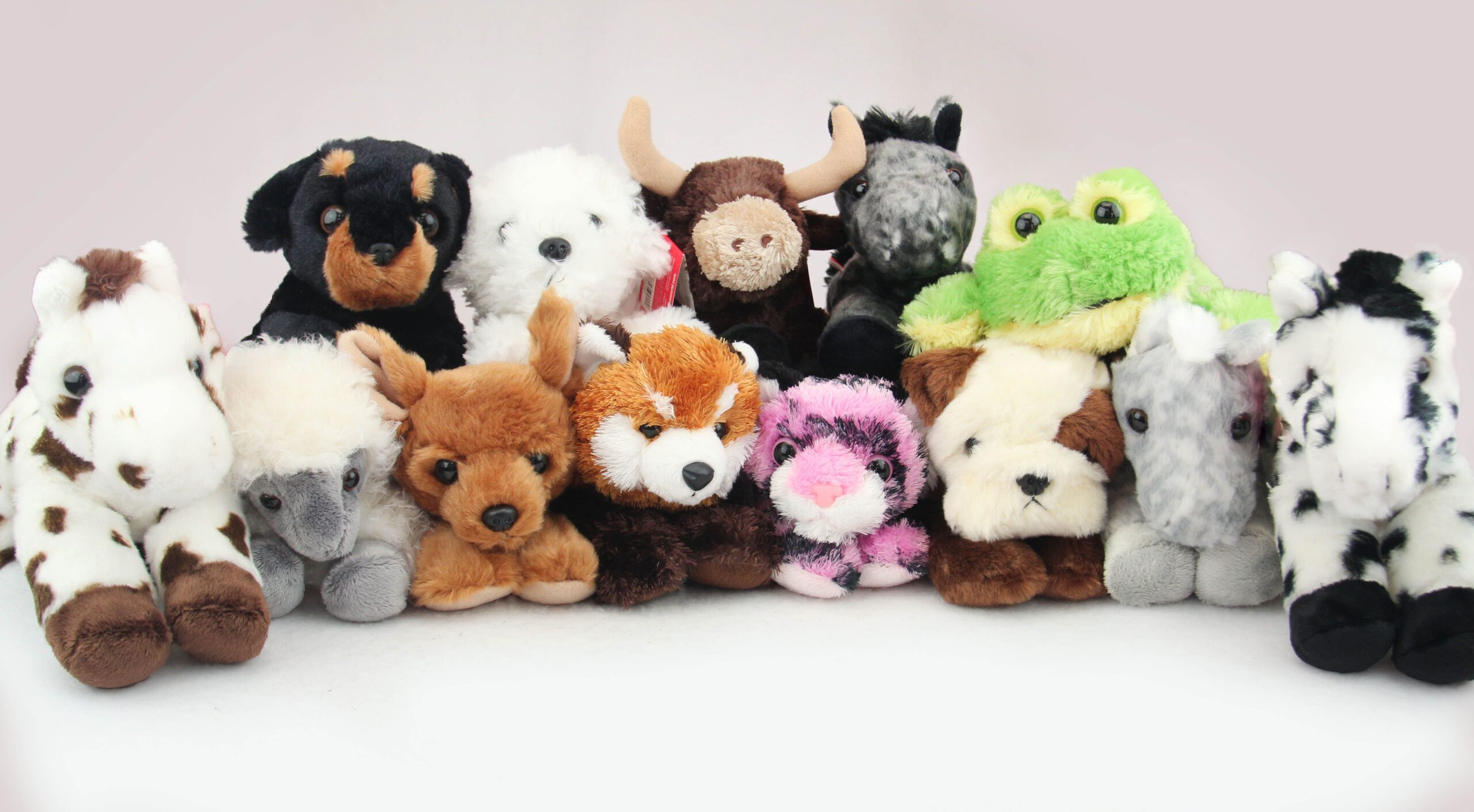 Stuffed animal vs plush toy comparison
