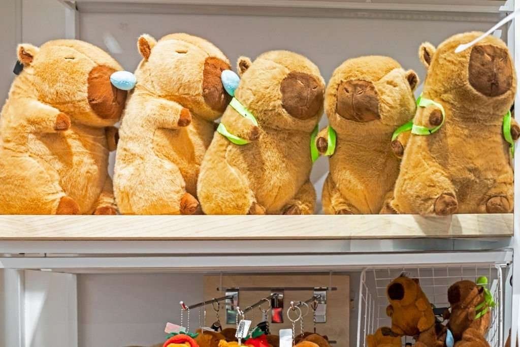 Custom plush toys USA import and shipping compliance guide